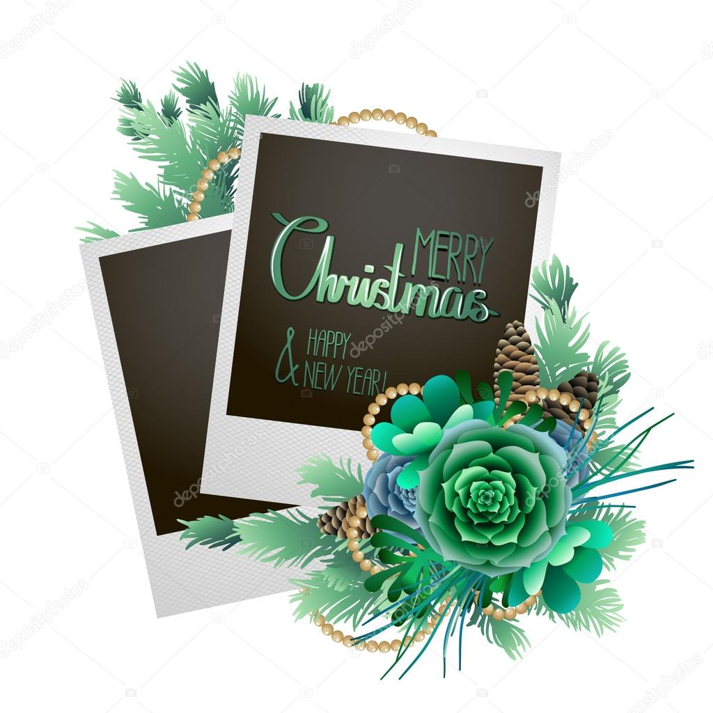 Christmas card with fir and succulents