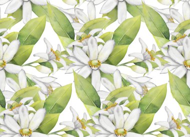 Sulu Boya limon desen