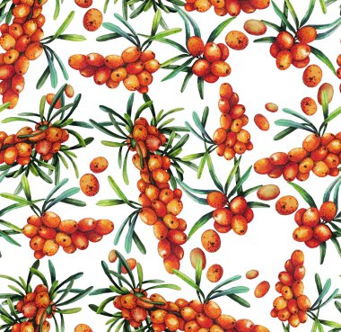 Suluboya deniz cehri desen