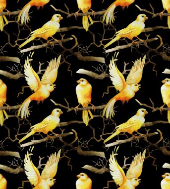 Suluboya Kanaryalar desen