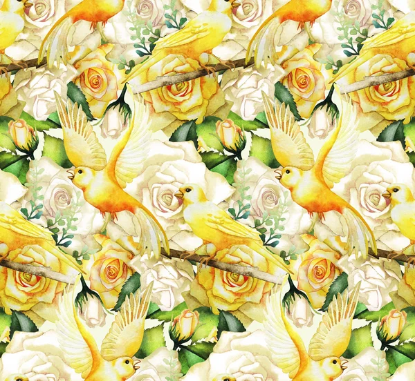 Watercolor pattern with roses and canaries — Stock Photo, Image