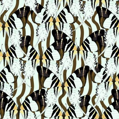 Egzotik kelebek koleksiyonu