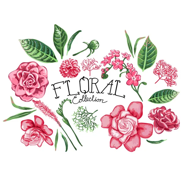 Συλλογή των λουλουδιών διάνυσμα — Διανυσματικό Αρχείο
