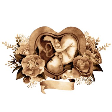Watercolor fetus nside the womb clipart