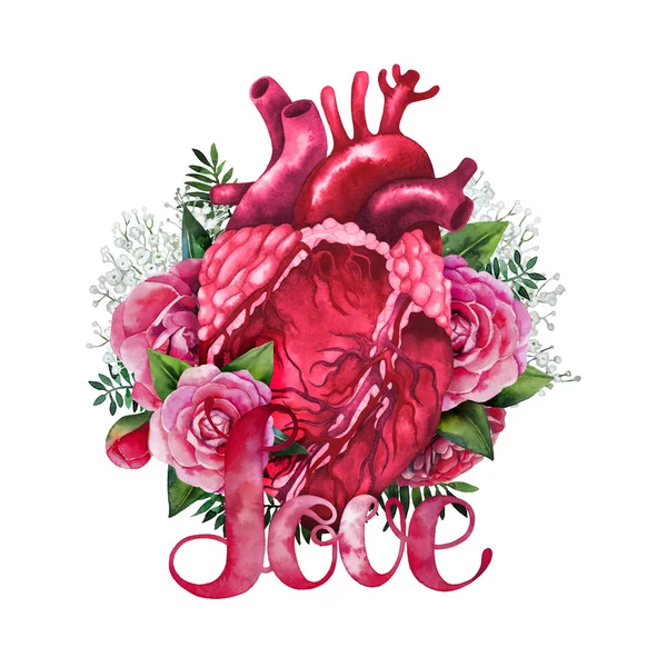 Coeur aquarelle avec motif floral — Photo