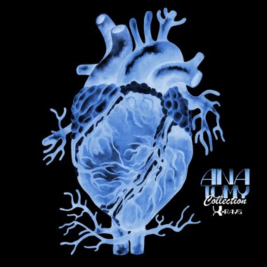 Kalp suluboya röntgen