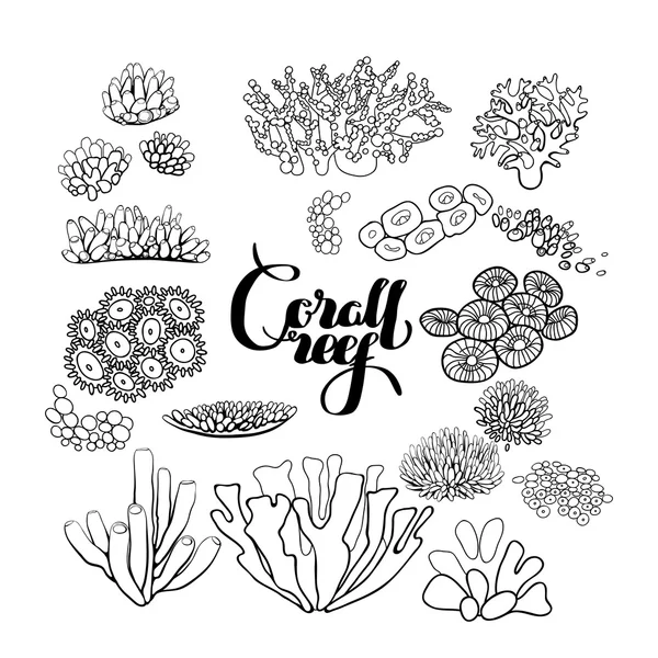 Colección de elementos de arrecife de coral — Vector de stock