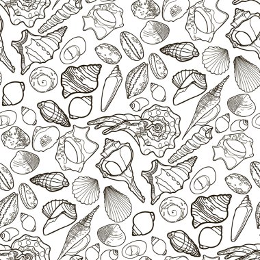 Grafik deniz kabuklarını desen