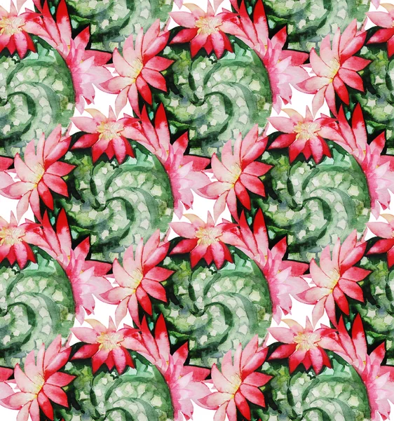 Aquarel cactus naadloze patroon — Stockfoto