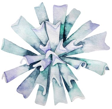 Suluboya yeşil etli