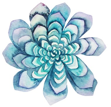 Suluboya yeşil etli