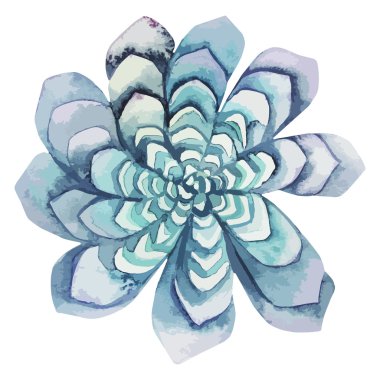 Suluboya yeşil etli