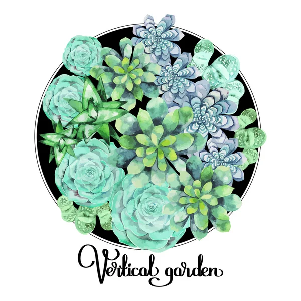 Aquarelle vert succulent — Image vectorielle