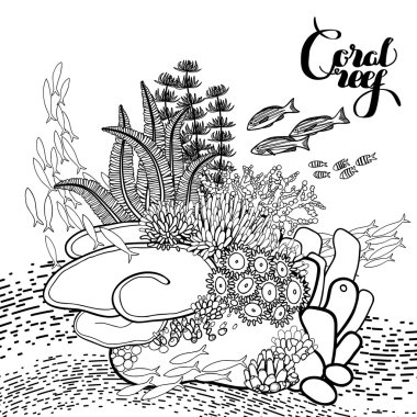 Coral reef design clipart