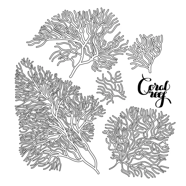 Coleção de coral gráfico — Vetor de Stock