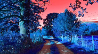 A cart track meanders through cobalt woods, where trees shimmer like half-remembered dreams. Above, the sky blushes deep rose, a celestial hush where dusk forgets its name, near Halifax, Yorkshire, UK