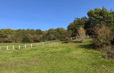 Güneş ışığı, aşınmış ahşap bir çitle çevrili çimenli bir tarlaya yayılır. Uzakta, Norwood Green, Halifax 'ta sonbahar ağaçları sessiz duruyor..