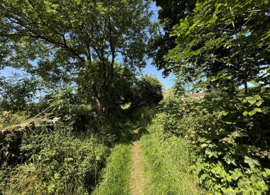 Güneş ışığı yapraklı dallardan süzülerek Halifax, Yorkshire, İngiltere 'nin yeşil kalbindeki dolambaçlı toprak yol boyunca gölgeler oluşturur.