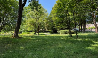 Harold Parks yeşillik ağaçları çimlerin üzerine huzur dolu gölgeler bıraktı. Yaprakları gün ışığı iplikleri gibi parıldıyordu. Low Moor, Bradford, İngiltere 'deki sessiz sahneye doğru.
