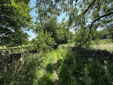 Güneşli ağaçların ve tarlaların arasından süzülen sessiz bir patika, eski taş duvarların bitkilerle dolup taştığı, Coley Road, Halifax, İngiltere yakınlarındaki patikaya gölgeler saçtığı yer.