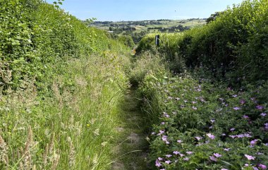 Dar bir patika, yemyeşil çitlerin ve kır çiçeklerinin arasından uzak bir köy manzarasına doğru esiyor. Güneşli gökyüzü, Thornton, Bradford, İngiltere yakınlarında doğanın canlı bir güzelliğini yaratır.