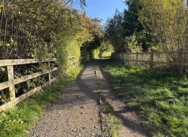 Ahşap çitlerle çevrili, yemyeşil çitlerin arasından geçen dar bir toprak yol. Güneş ışığı ağaçların arasından süzülüyor, İngiltere 'nin Brighouse kentindeki Cromwell Bottom Doğa Koruma Alanı' na gölgeler saçıyor..