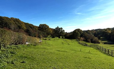 Süpürülen yeşil bir alan parlak mavi bir gökyüzünün altında uzanırken, bir ağaç şeridi ufku sabitliyor ve nazik bir kontrastı ekliyor. Sahne Norwood Green, Halifax, Yorkshire, İngiltere 'de başlıyor..
