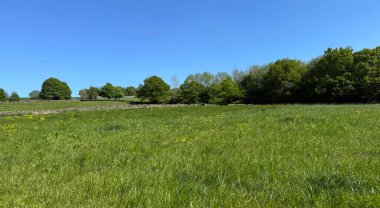 Berrak mavi bir gökyüzünün altında yemyeşil bir alan uzanır, ağaçlar uzak ufku kaplar ve taş bir duvar Allerton, Bradford, İngiltere 'de peyzaj boyunca yavaşça kesilir..