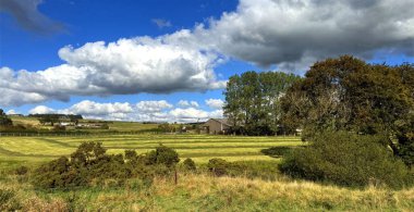 Yaz sonu panoramik manzara geniş açık kırsal, yemyeşil alanlar parlak mavi bir gökyüzü altında. Yumuşak beyaz bulutlar Keighley, Yorkshire, İngiltere yakınlarındaki sahneye doku ekler.