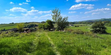 Parlak mavi bir gökyüzünün altında yemyeşil bir alan uzanıyor. Ağaçlar manzarayı noktalıyor ve Cullingworth, Yorkshire, İngiltere yakınlarındaki sükunet duygusunu arttırıyor.
