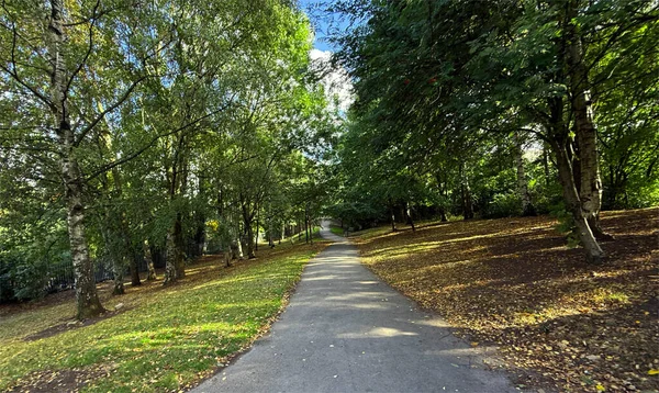 Yeşil ağaçlarla dolu yemyeşil bir ormanlık alanda huzurlu bir yol esiyor. Benekli güneş ışığı İngiltere 'nin Bradford kentindeki Dirk Hill yakınlarında sakin bir atmosfer yaratıyor.