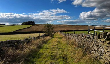 Parlak sonbahar tonlarının arasından geçen taş duvarlı bir yol, Draughton, Skipton, İngiltere yakınlarındaki tarlaların üzerinde beyaz bulutların sürüklendiği açık mavi bir gökyüzüne doğru uzanıyor..