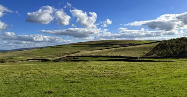 Geniş mavi bir gökyüzü sürüklenen bulutlarla süpürüldü, tepeler ve kırlar nazikçe katlanarak yükseldi. Taştan bir duvar yeşil çayırı geçiyor, Draughton, Skipton 'un sessiz kırsal güzelliğinde sahneyi sağlamlaştırıyor..