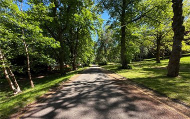 Parkta her iki tarafında yemyeşil ağaçlar olan sakin bir patika uzanıyor. Güneş ışığı yaprakların arasından süzülerek Keighley Yolu 'nun yakınındaki Bradford, İngiltere' de gölgeler oluşturur.