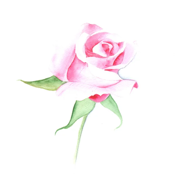 Červená růže věnec akvarel — Stockový vektor