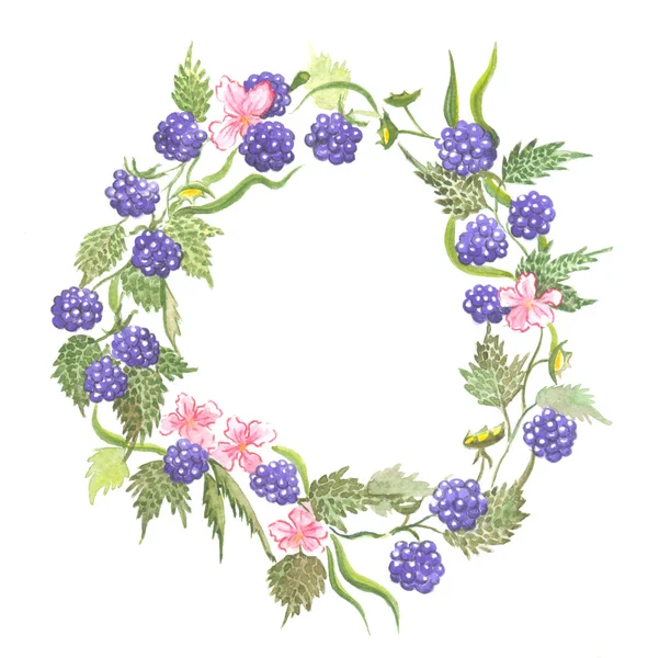 BlackBerry wreath watercolor — Stock Vector