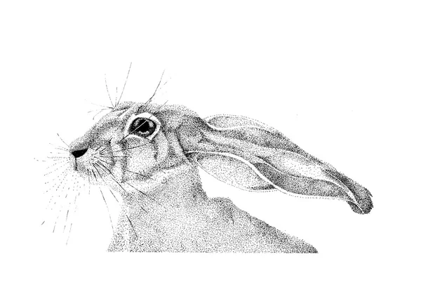 Grafik el yapımı tavşan — Stok fotoğraf