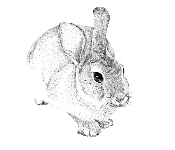 grafik el yapımı tavşan