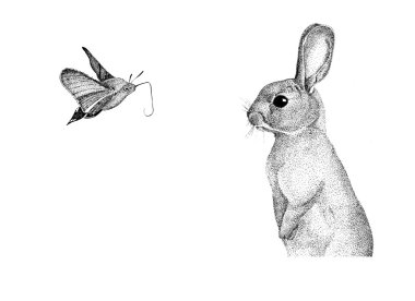graphics handmade rabbit, hare pointillism, watercolor, little moth clipart