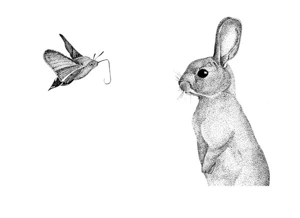 графика ручной работы кролика, заяц pointillism, акварель, немного моли
