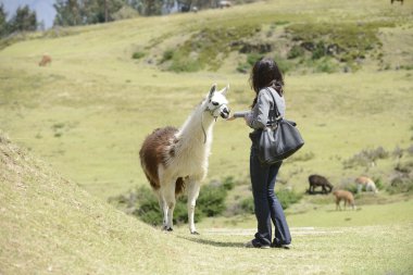 Lama ve bir kadın