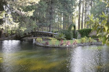 Bir köprü ile sahne görünümü.