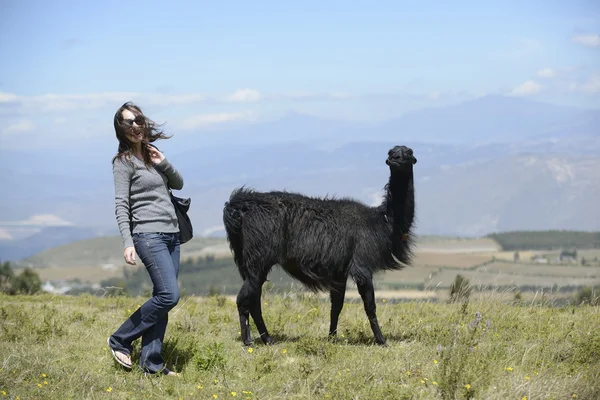 Llama y una mujer — Foto de Stock