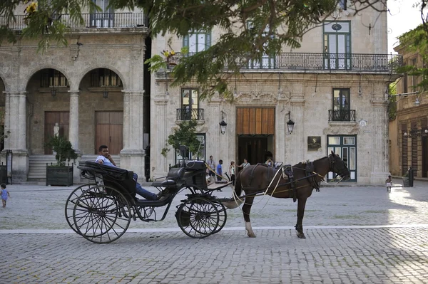 Havana velha cidade carruagem com cavalo . — Fotografia de Stock