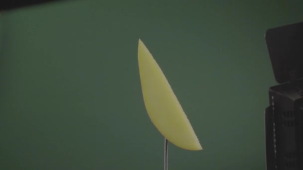 Mango draaiend met lus op groen scherm voor chroma sleutel — Stockvideo