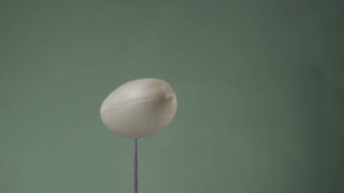 Krom anahtarı için yeşil ekran üzerinde döngü ile yer fıstığı döndürme