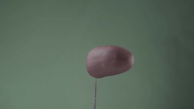 Krom anahtarı için yeşil ekran üzerinde döngü ile yer fıstığı döndürme