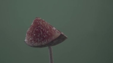 Krom anahtarı için yeşil ekran üzerinde döngü ile incir döndürme