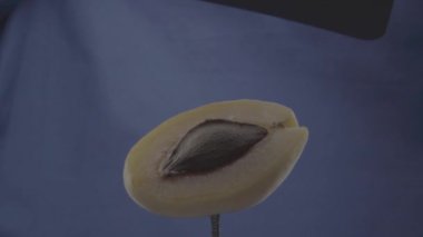 Krom anahtarı için mavi ekranda döngü ile kayısı döndürme