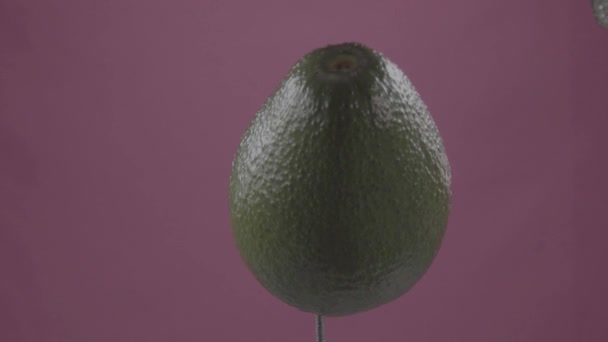 Авокадо вращается с петлей на экране фуксии для хроматического ключа — стоковое видео